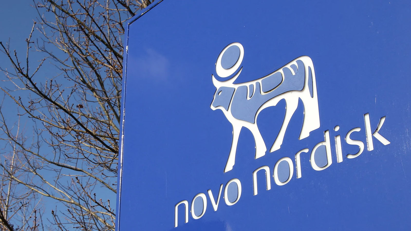 Novo Nordisk