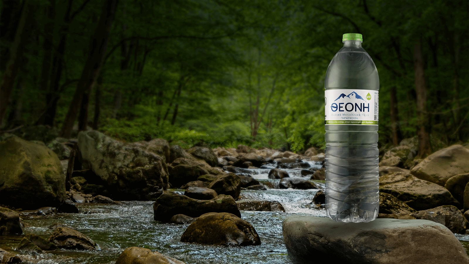 Η Θεόνη επενδύει σε premium ταυτότητα και εξαγωγική ανάπτυξη