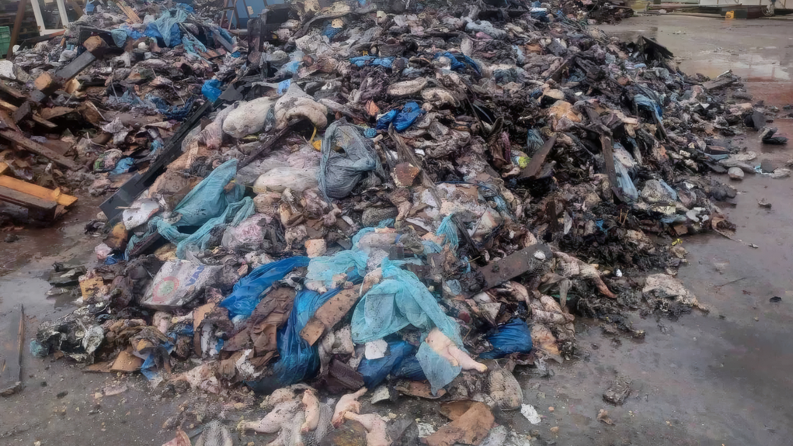 Η υπόθεση παράνομης ταφής αποβλήτων στη Φιλιππιάδα προκαλεί αντιδράσεις και έρευνα για ρύπανση του Λούρου